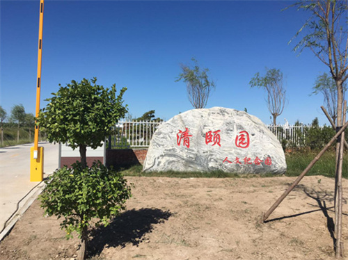 案例展示